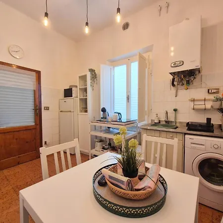 Apartment Tower With Terrace Pisa
